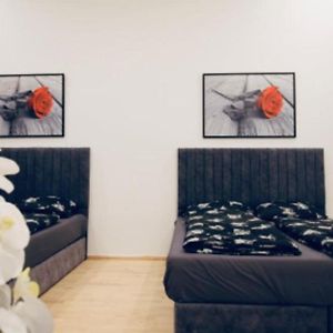 Standaard Appartement met Twee Slaapkamers